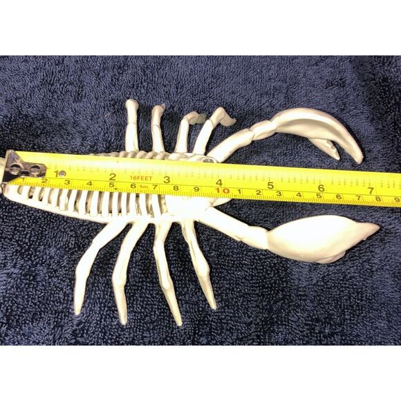 Halloween Skeleton Scorpion Scary Bones 7x6 - Picture 8 of 10